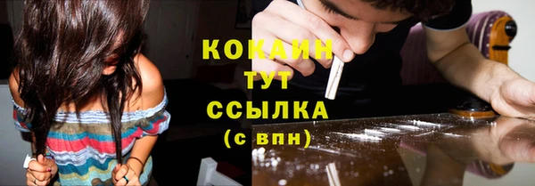 амф Аркадак