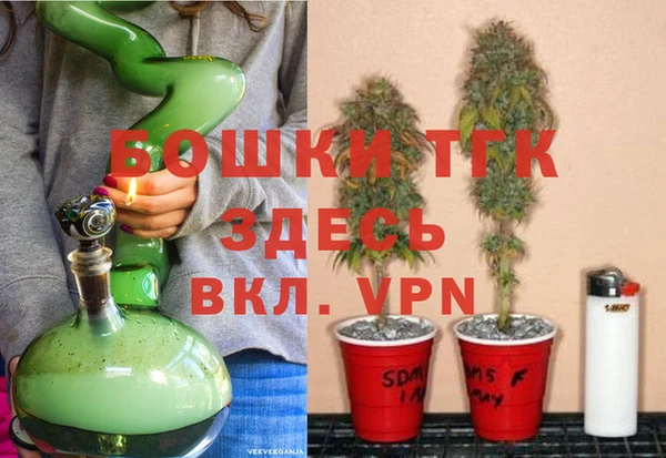 экстази Арсеньев